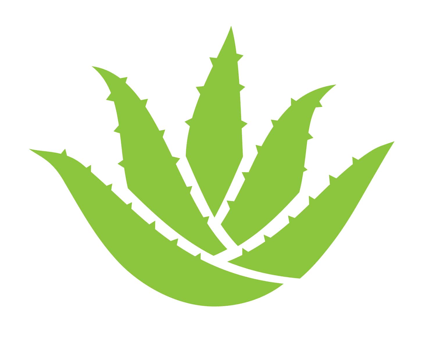 aloe forever